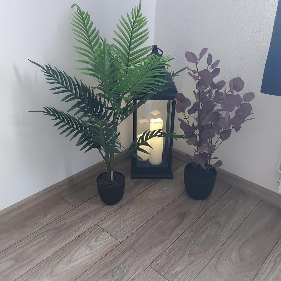 Apartament Antonias Făgăraş Eksteriør bilde